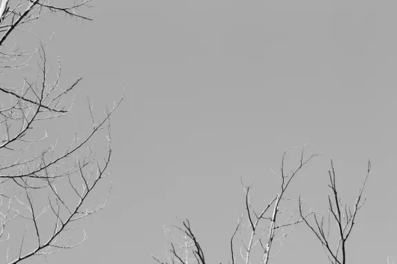 XCasino Casino Support